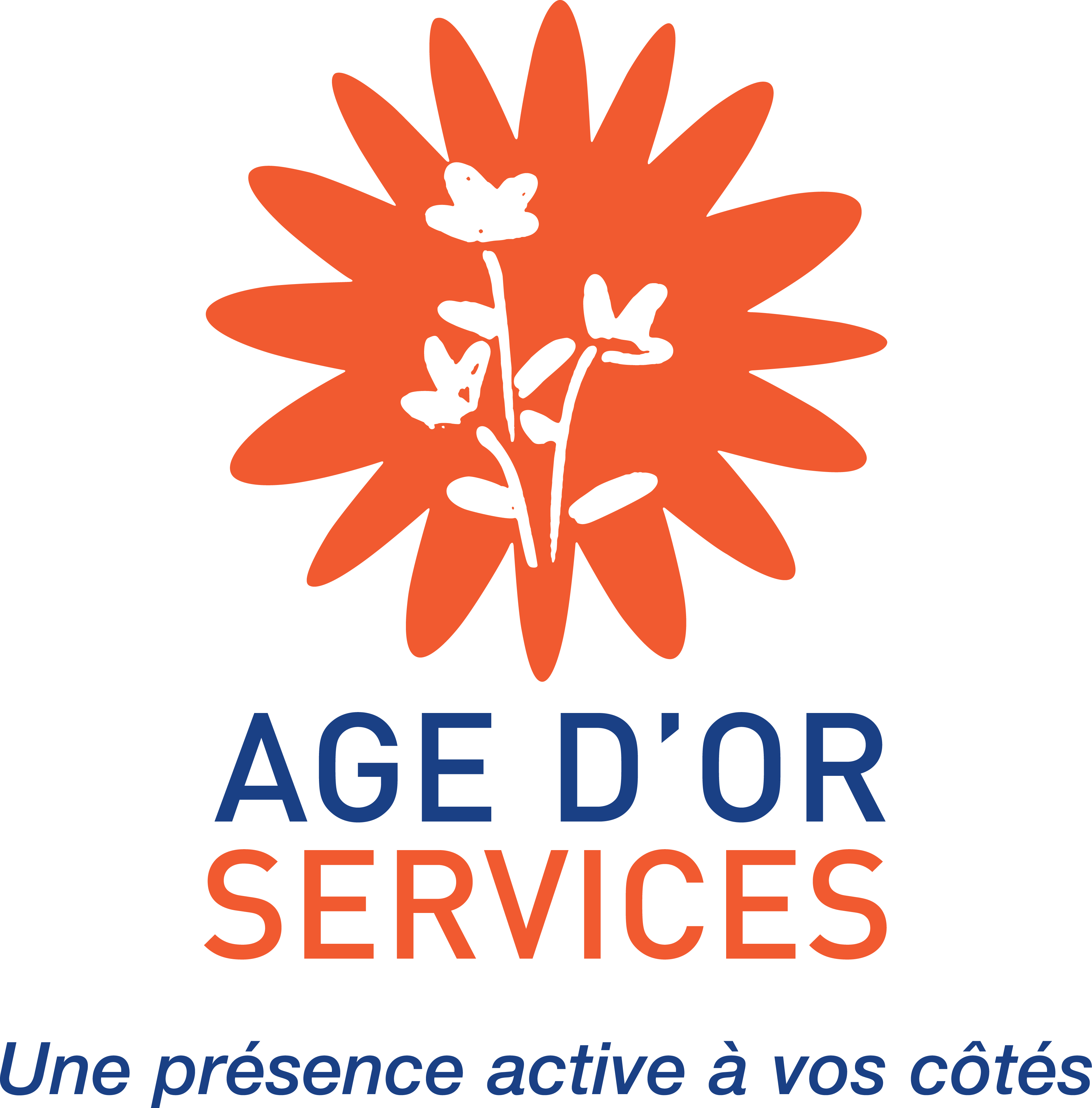 Age d'Or Services