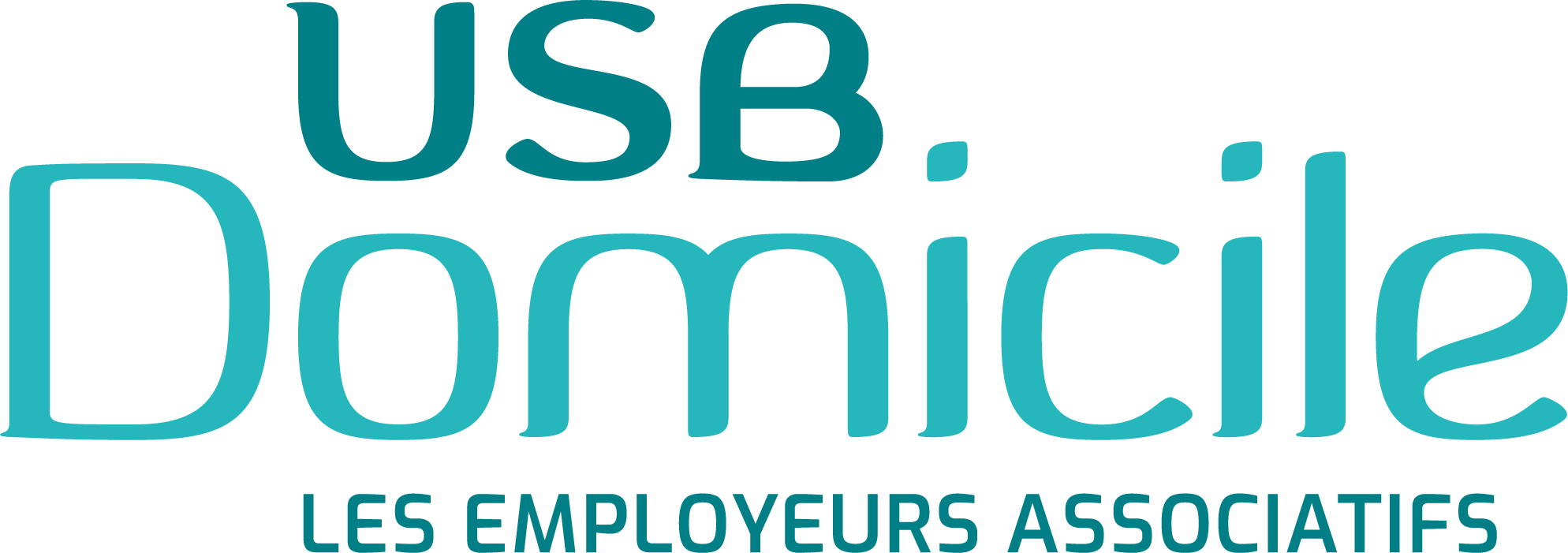 Logo USB Domicile